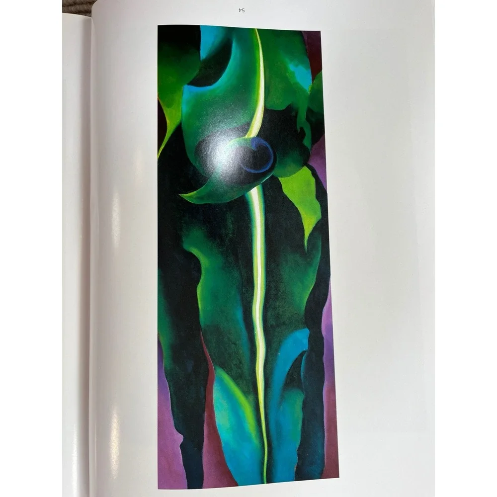 Georgia O'Keeffe Elizabeth Montgomery Art History Book Hardcover JG Press 1993